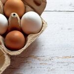 Huevera con huevos marrones y blancos