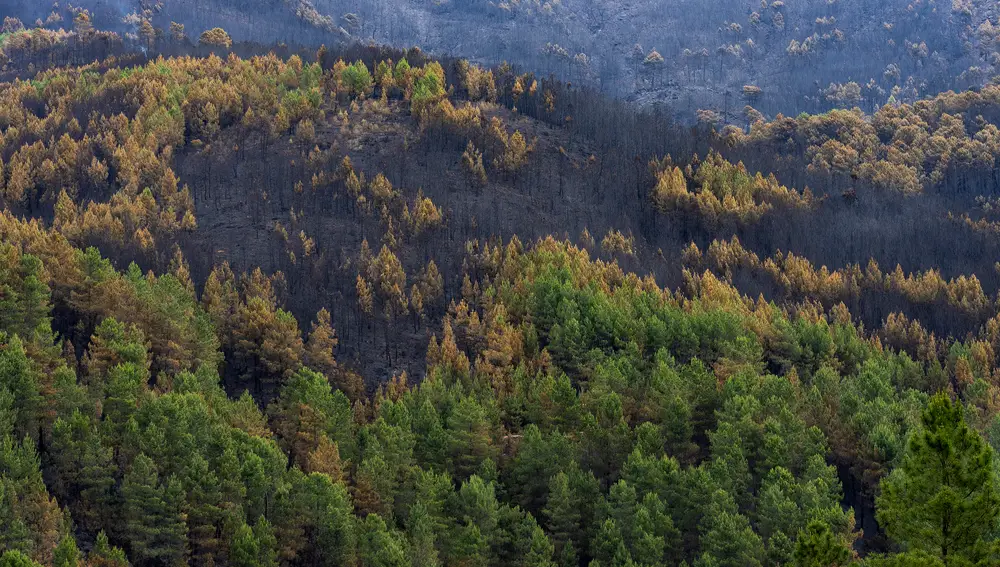 El incendio de las Hurdes y Sierra de Gata sigue controlado