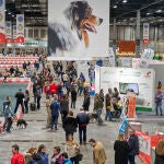 100x100mascota, el gran evento del animal de compañía