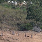 Searches for Madeleine McCann in the Arade dam in Portugal