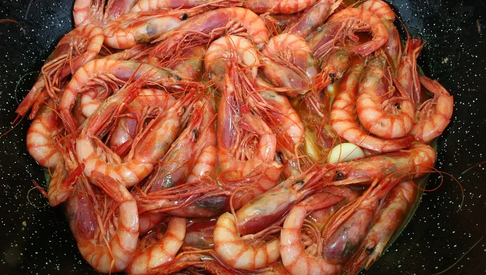 Una ración de gambas al ajillo
