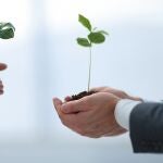 La transición verde europea. Manos sostienen plantas.