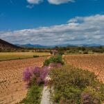 MURCIA.-La Región de Murcia promociona las vías verdes como atractivo turístico para visitantes alemanes