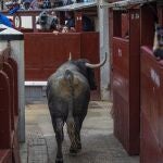 Uno de los toros de Adolfo Martín salta momentáneamente al callejón durante el decimosexto festejo de la Feria de San Isidro, que se celebra este domingo en la Monumental de las Ventas, Madrid.