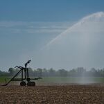 El agro andaluz sufre las consecuencias de la sequía con una producción cada vez menor