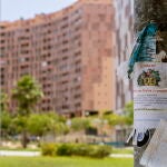 El drama de encontrar piso de alquiler siendo estudiante en Málaga