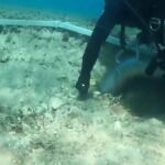 Una 'carretera' del 4.900 A.C. bajo el mar Adriático