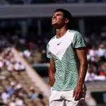 French Open - Day 13