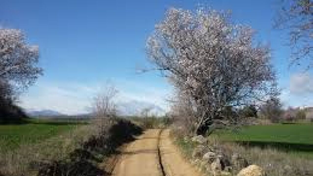 Localizada, tras 15 días de búsqueda, una alemana perdida en el Camino ...