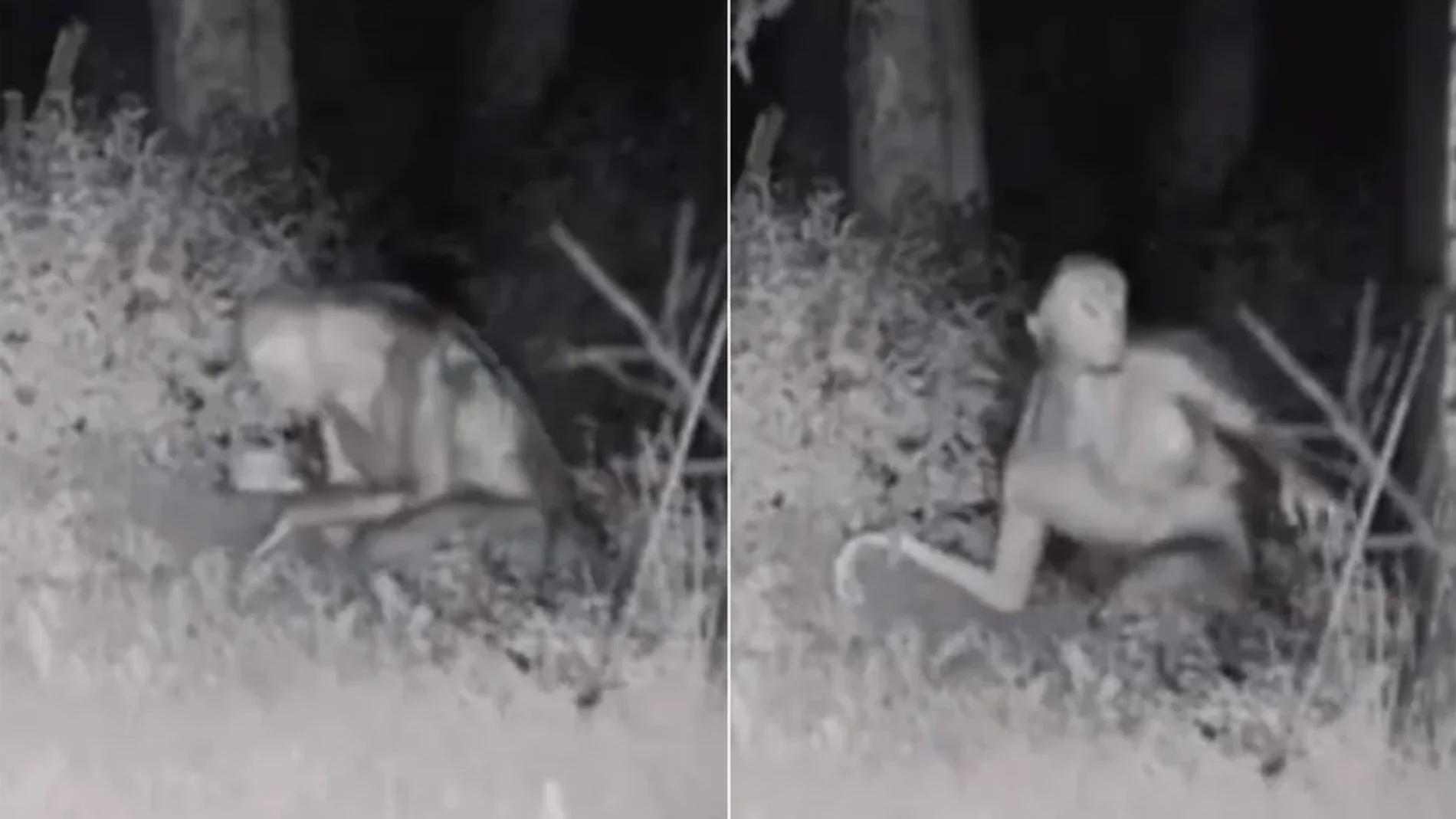 Este avistamiento de extraterrestres en Las Vegas se ha viralizado en las redes sociales, causando revuelo y generando ciertas especulaciones entre los usuarios