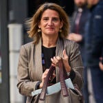 Teresa Ribera, vicepresidenta tercera y ministra para la Transición Ecológica 