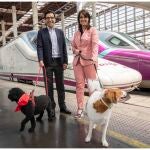 MADRID.-Renfe también permitirá perros de hasta 40 kilos en los AVE entre Madrid, Alicante y Valencia
