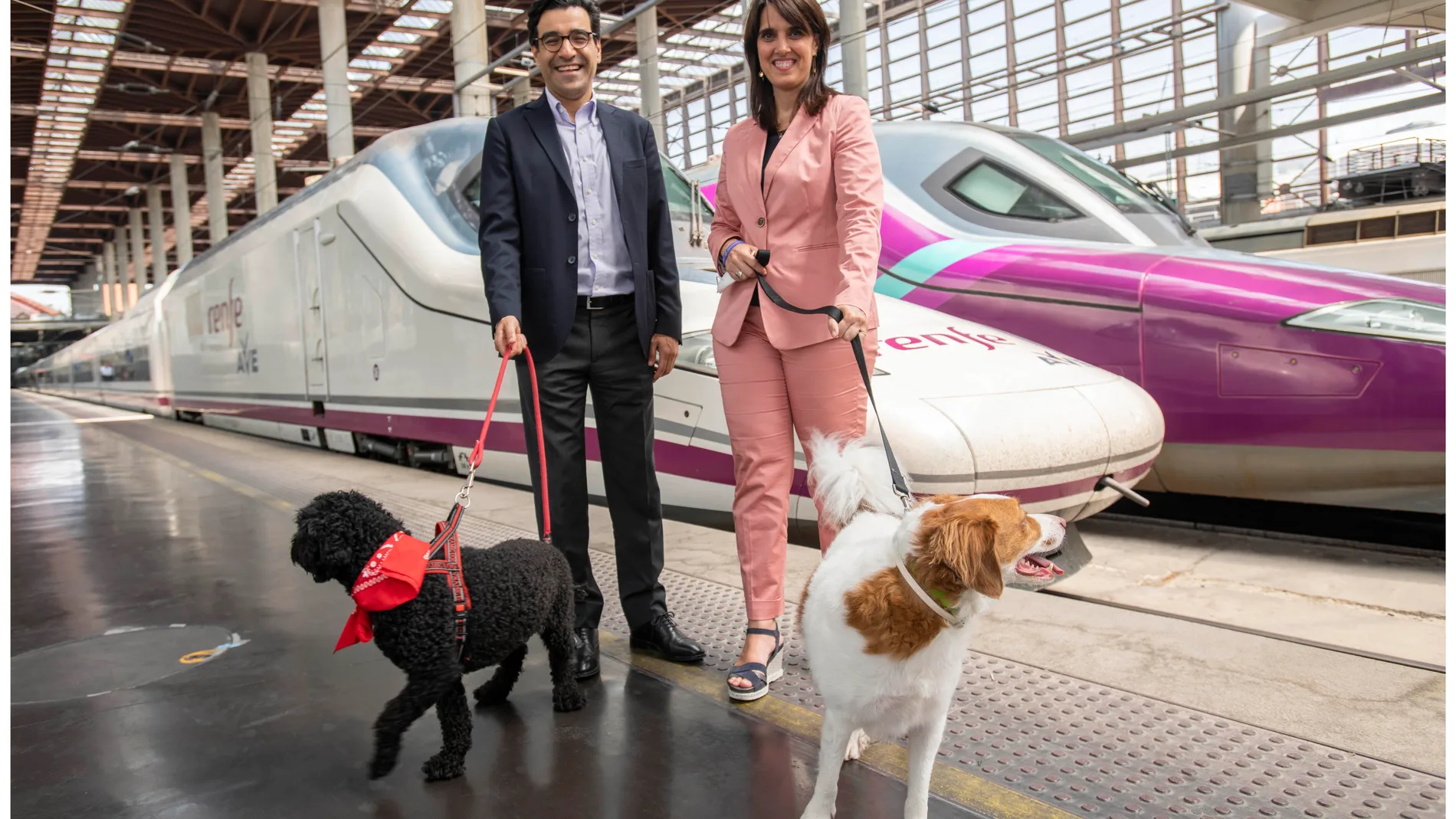 MADRID.-Renfe también permitirá perros de hasta 40 kilos en los AVE entre Madrid, Alicante y Valencia