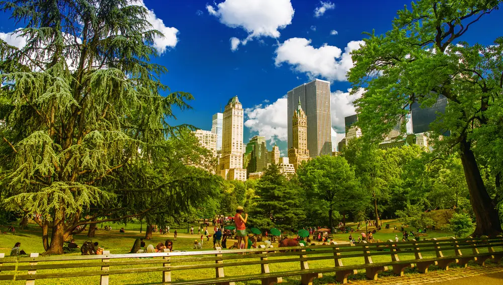 Nueva York