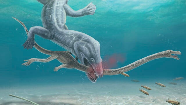 Cuando los dinosaurios morían decapitados 