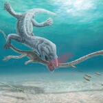 Cuando los dinosaurios morían decapitados 