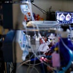 La placenta artificial de BCNatal es el primer prototipo experimental que se desarrolla en Europa 