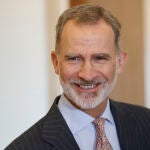 El rey Felipe VI 