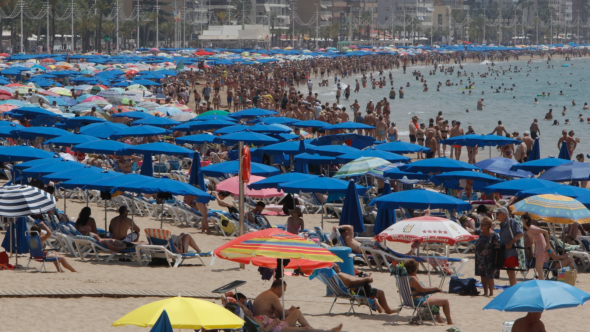 Playa de Benidorm este miércoles