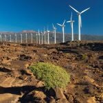Aerogeneradores en las instalaciones del Instituto Tecnológico y de Energías Renovables (ITER) , dependiente del Cabildo de Tenerife