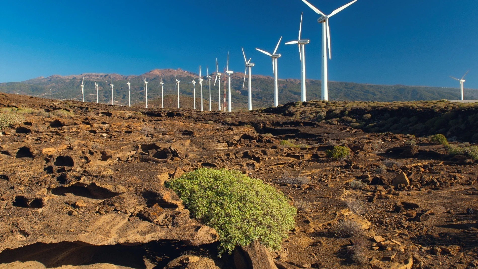 Aerogeneradores en las instalaciones del Instituto Tecnológico y de Energías Renovables (ITER) , dependiente del Cabildo de Tenerife CABILDO DE TENERIFE 25/06/2023