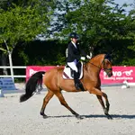 Campeonato de la Comunidad de Madrid de Doma Clásica