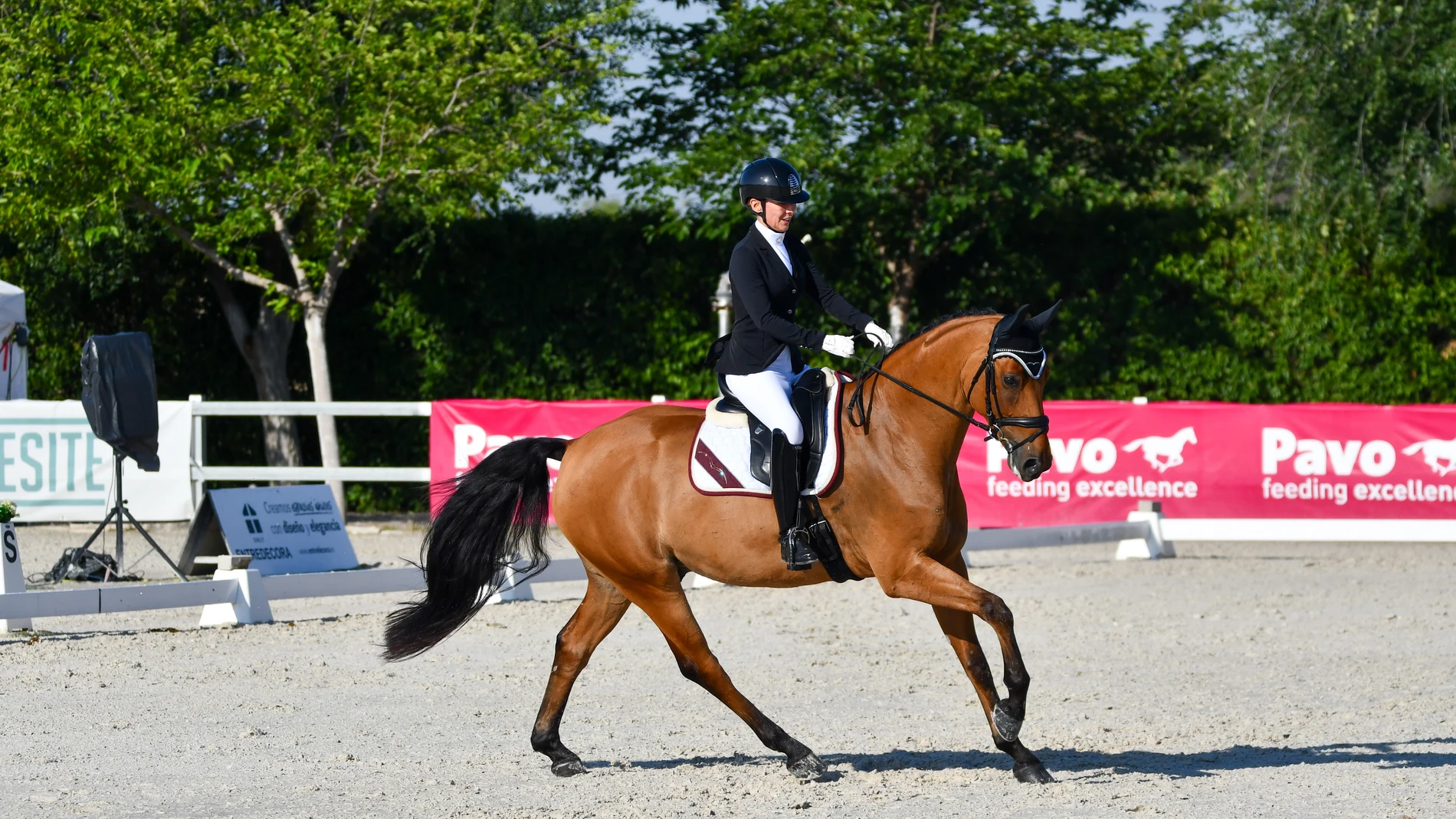 Campeonato de la Comunidad de Madrid de Doma Clásica