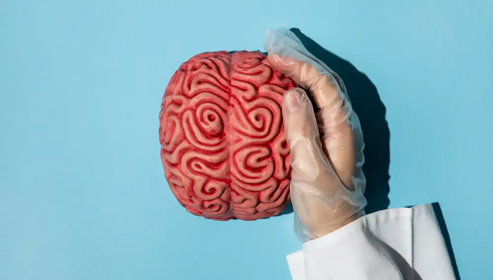 Cerebro