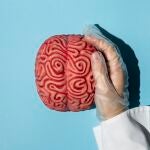 Cerebro