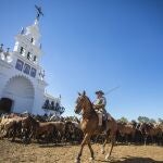 La tradicional Saca de las Yeguas de Doñana a su paso por la aldea de El Rocío