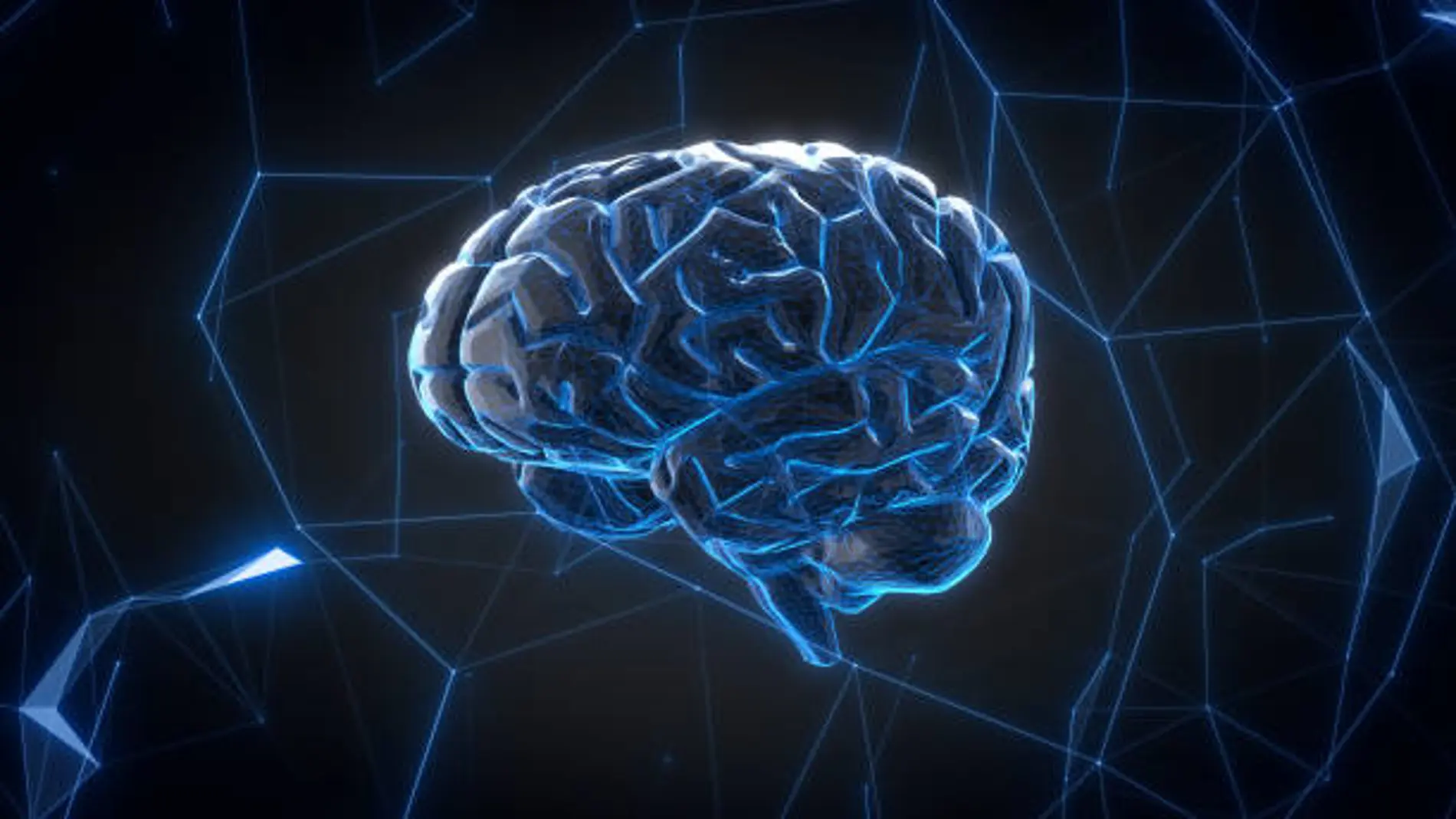 Imagen análisis de un cerebro
