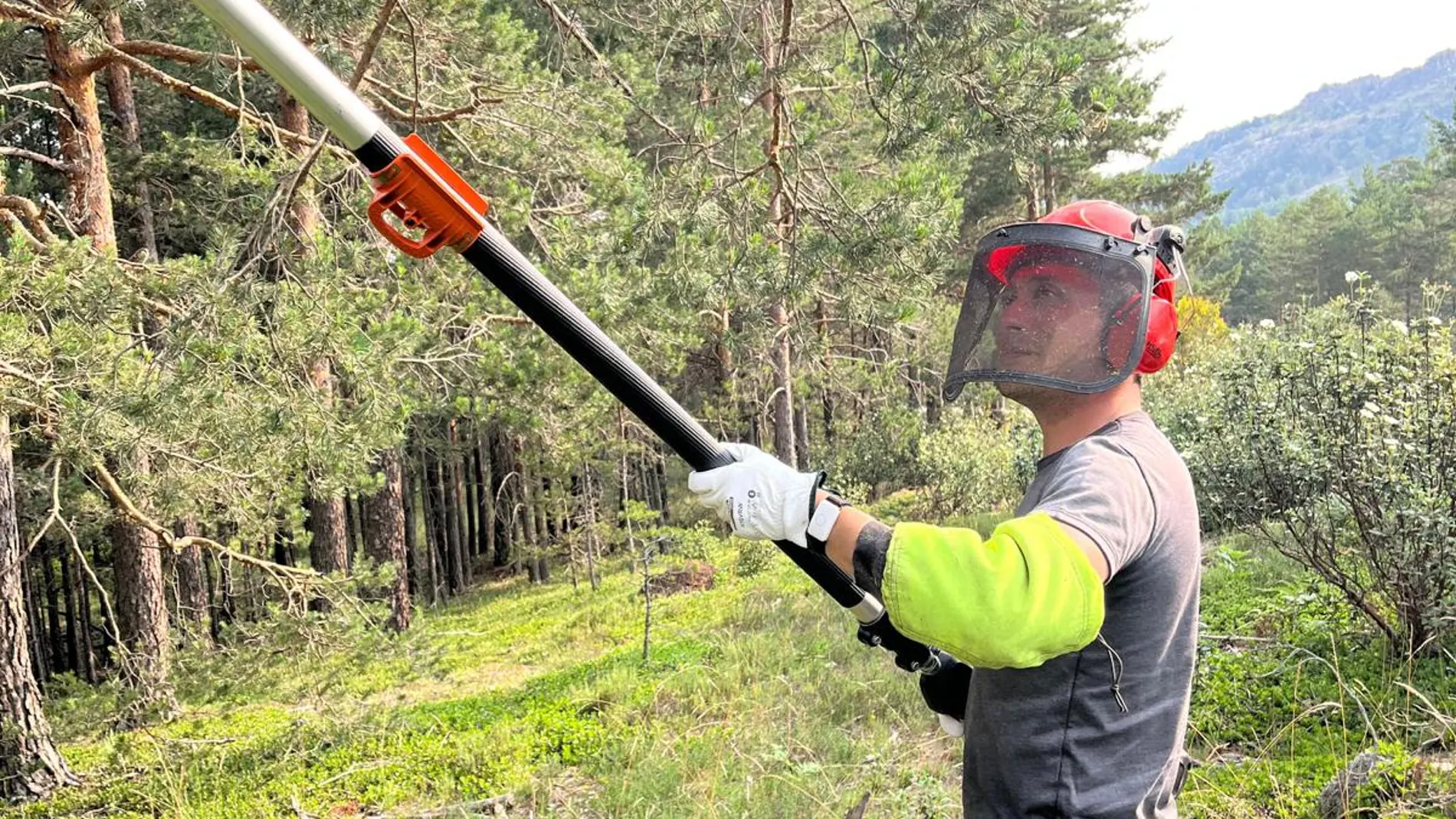 Un trabajador forestal con la novedosa pulsera de Talher