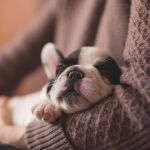 Cachorro durmiendo en los brazos de su dueño