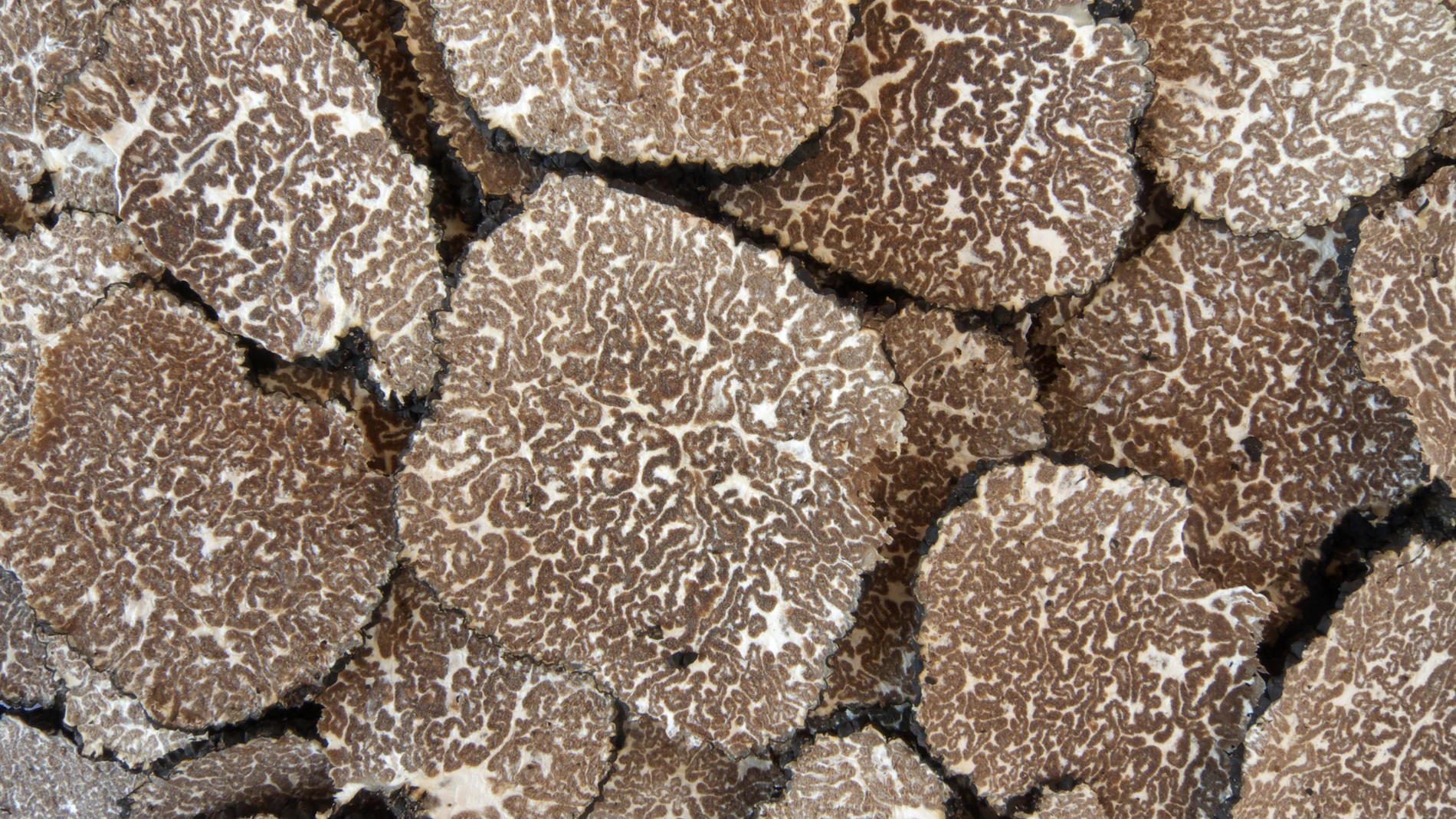 Un superalimento es un alimento repleto de nutrientes y con una gran cantidad de beneficios para la salud