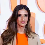 Sara Carbonero acude al concierto de Alejandro Sanz en Madrid.