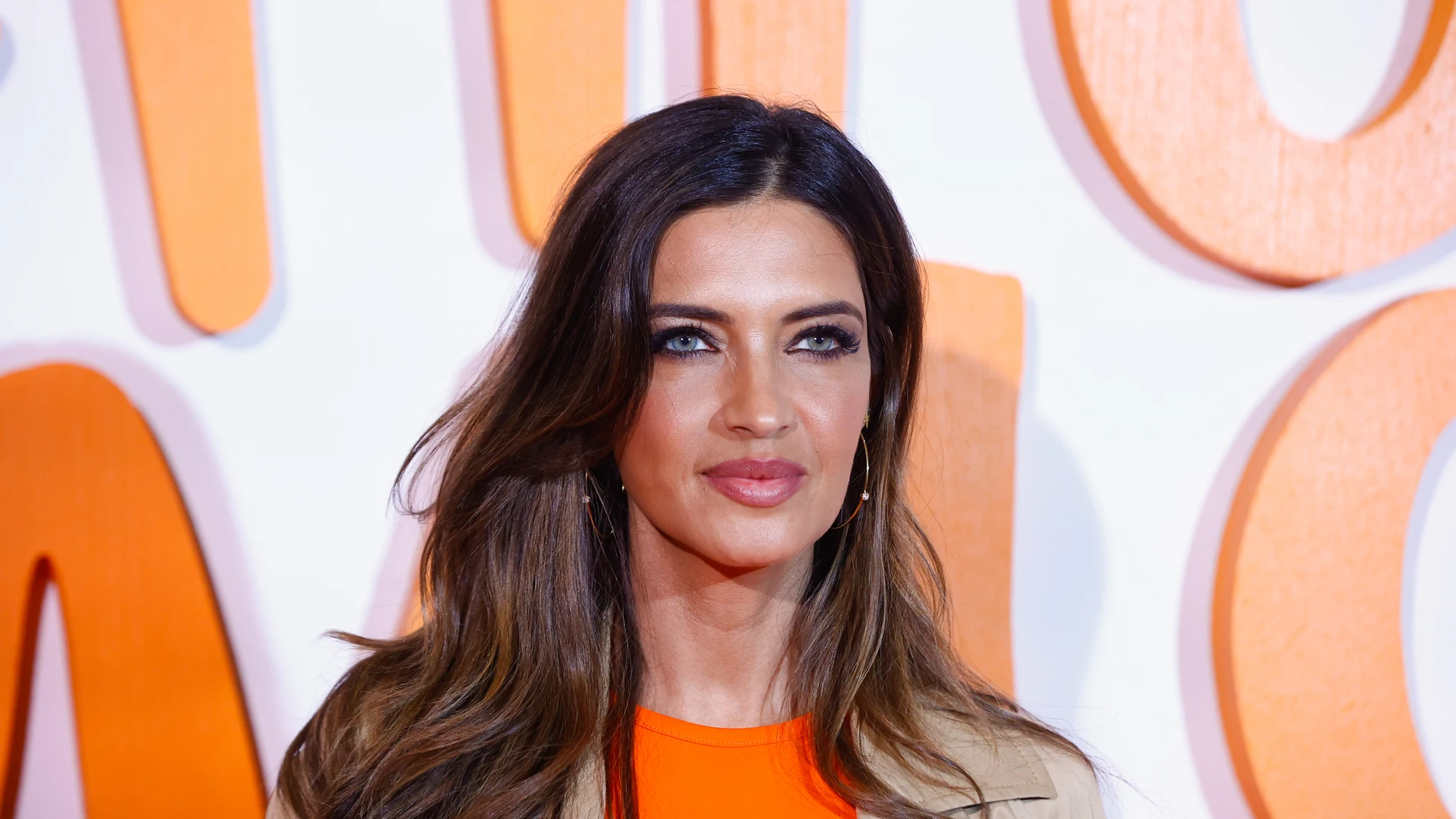 Sara Carbonero acude al concierto de Alejandro Sanz en Madrid.