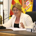 La diputada de Ciclo Hídrico, Ana Serna, en el salón de plenos de la institución provincial de Alicante.