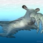 Una ilustración del Anomalocaris