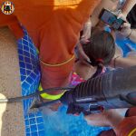 Los bomberos tratan de liberar a la niña mientras los bañistas intentan entretenerla 