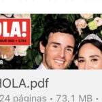 Imagen del archivo en formato pdf con la revista pirateada