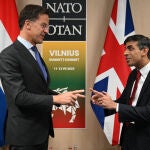 OTAN.- Sunak y Rutte abogan por dotar a Ucrania de "capacidades defensivas a largo plazo" para garantizar la paz