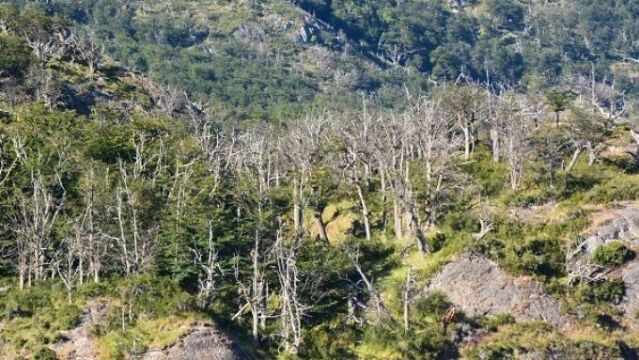 La Eurocámara rechaza el veto del PPE a la ley de la restauración de la naturaleza
