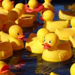 Imagen de archivo de patos de goma