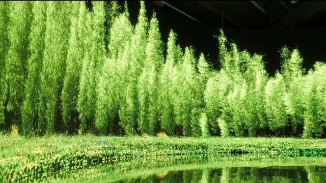 Para la exposición Cao Yuxi ha grabado en El Retiro y el Real Jardín Botánico