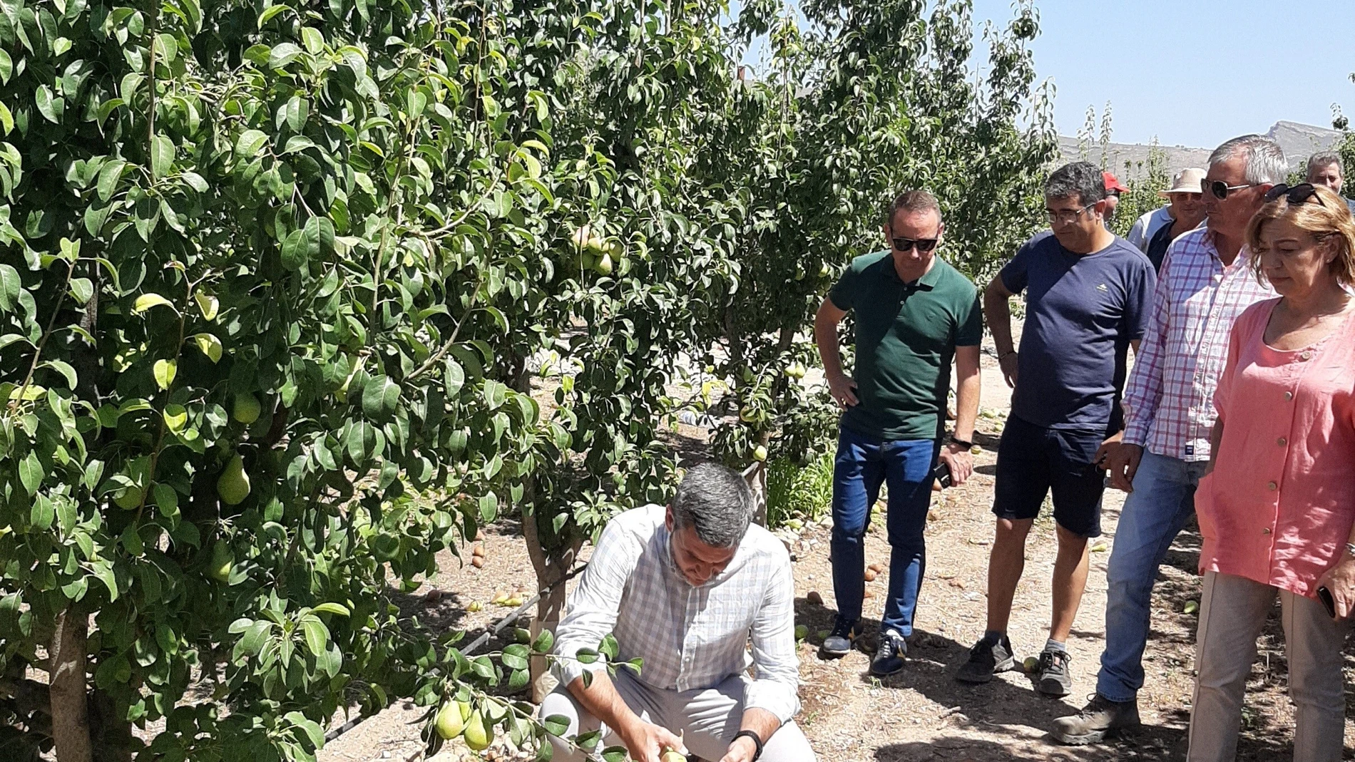Antonio Luengo ha visitado una zona afectada por el reventón térmico en Jumilla