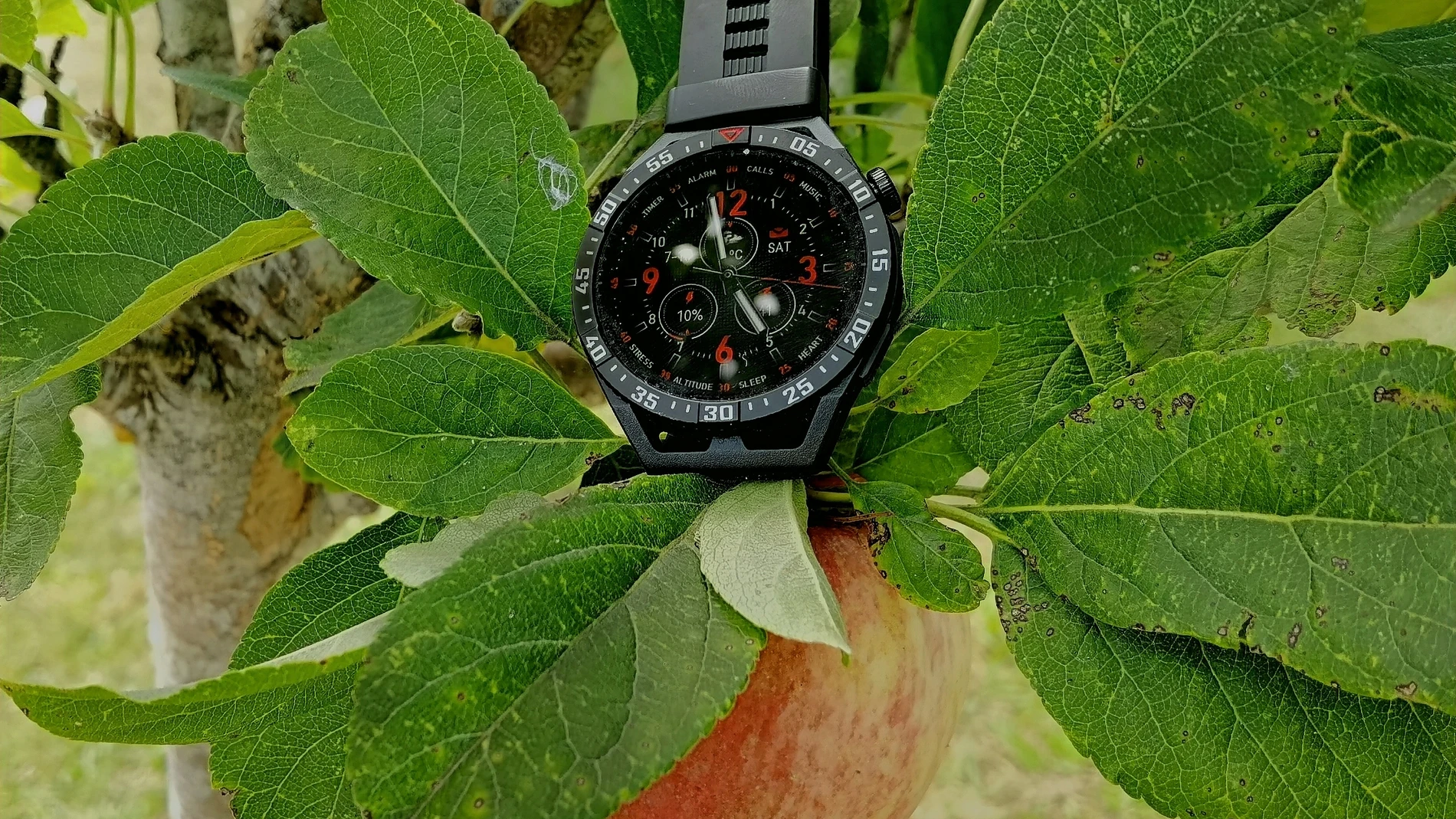 Huawei Watch GT 3 SE