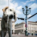 Llega hoy a Italia el anticiclón "Caronte" que dejará temperaturas superiores a 45 grados