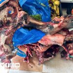 Estado en que se encontraban los alimentos