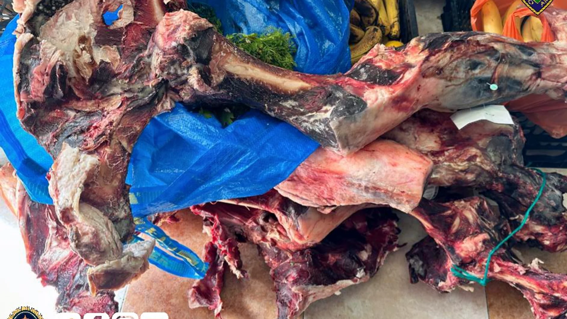Estado en que se encontraban los alimentos