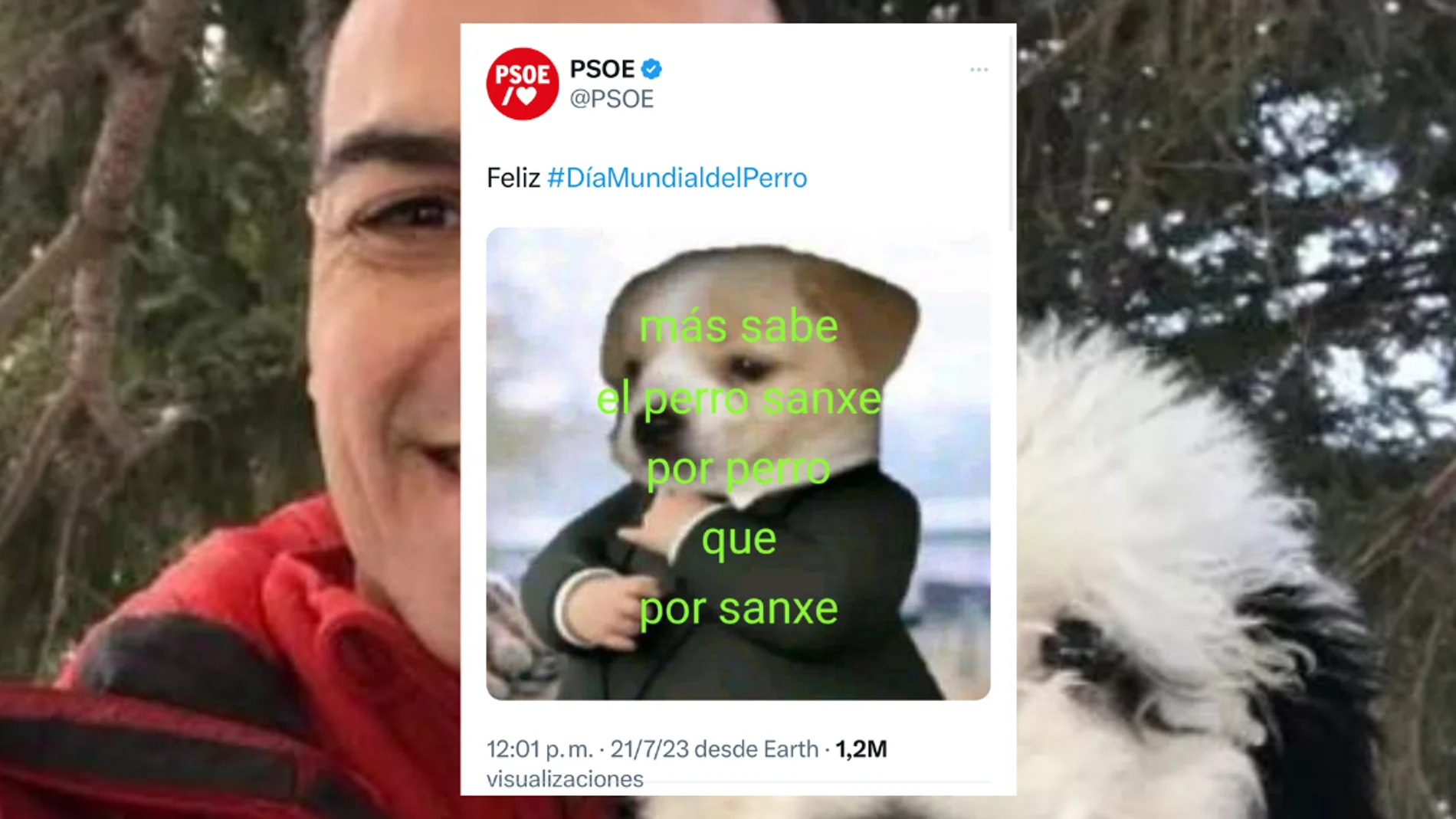 El PSOE felicita el Día Mundial del Perro
